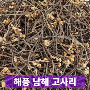 일등농수산 산지직송 해풍 맞은 남해 창선 고사리, 1개, 200g