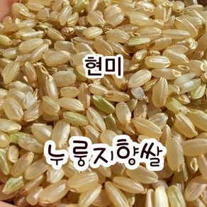 [누룽지향 현미] 현미 향미쌀 누룽지향쌀 십리향 맛있는쌀 산지직송 모이랑, 1개, 1kg