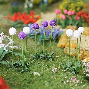 [포레스] 알리움(소 화이트), 단품