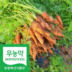 산지직송 국내산 무농약 햇 흙 당근