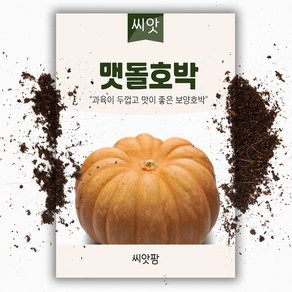 맷돌 호박씨앗 25립 - 늙은호박, 1개