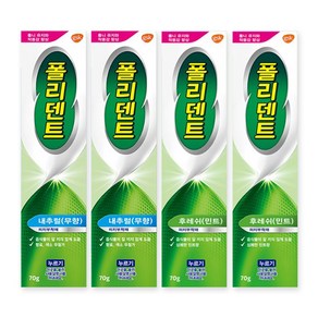 폴리덴트 의치부착재 70g 내추럴무향 2개+후레쉬민트 2개, 1개, 1개입