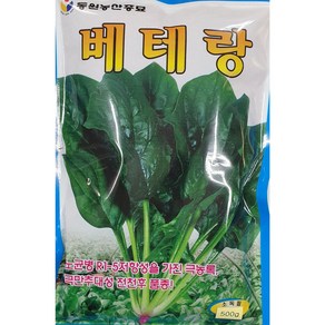 베테랑시금치500g 씨앗/노균병에 저항성을 가진 품종/내서성이 강하고 고온에서도 생육이 좋은 시금치/동원/가람종묘사, 1개