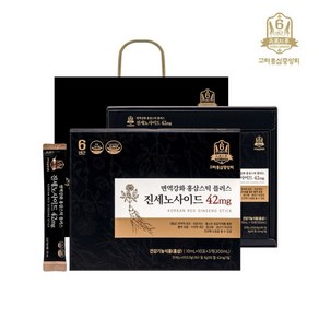 고려홍삼중앙회 면역강화 홍삼스틱 플러스 진세노사이드 42mg 30포 x 2박스, 600ml, 2개