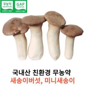 국내산 친환경 무농약 신선한 새송이버섯 2kg 국산 신선한 미니 새송이 버섯 산지직송 꼬마 새송이 프리미엄, 1개