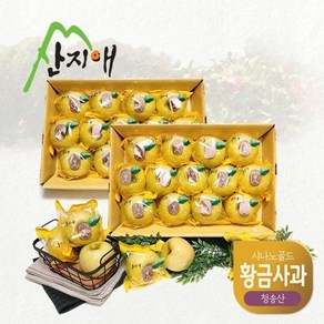 산지애 황금사과 시나노골드 3kg 2box 중과 청송산 당도선별 12brix ↑