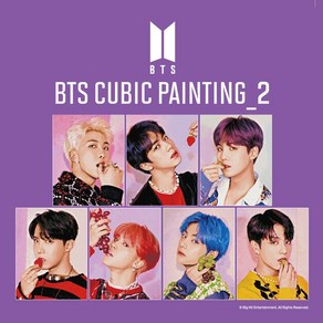 DIY 보석십자수 BTS 방탄소년단 큐빅페인팅 v2 정국 40x50, 1개