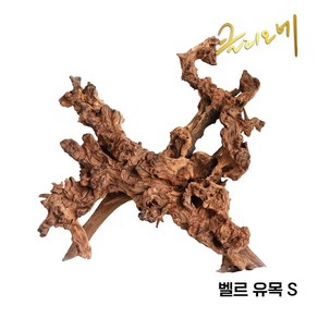 벨르 유목(S)15~25cm, 1개