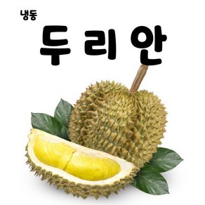 [미쓰리푸드마켓] 냉동 두리안 500g 열대과일 냉동과일, 냉동두리안(500g), 1개