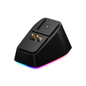 레이저 바이퍼 충전 케이블 RGB V2 Raze USB C타입