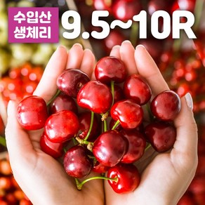 항공직송 미국산 캘리포니아 워싱턴 체리 500g 1kg, 워싱턴체리 1kg, 1개