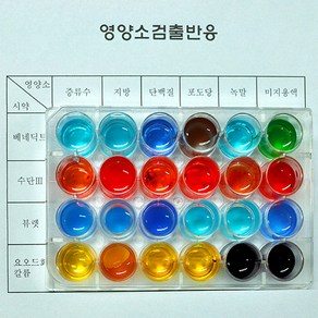 (미래과학)영양소검출반응세트(2인용), 1개