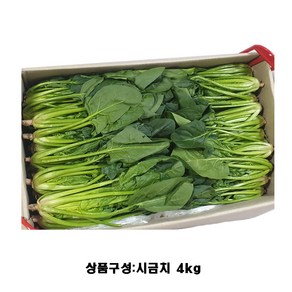 국내산 열무 시금치 쑥갓 부추 4kg 이내 백산상회