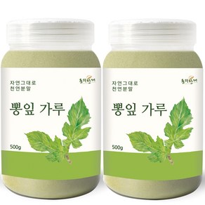 동의한재 국산 뽕잎 가루 분말, 500g, 2개