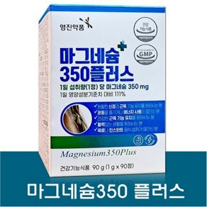 영진약품 마그네슘350 플러스 90정 3개월분, 2개