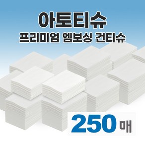 아토티슈 프리미엄 엠보싱 접어진 건티슈 영유아 유아 아기티슈 250매, 1개