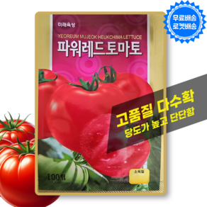 토마토 씨앗 완숙 찰토마토 씨 종자, 1개