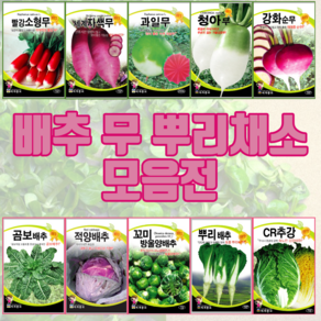 채소 씨앗 시금치 열무 배추 알타리 가을 김장 종자, 열무(향단이)30g, 1개