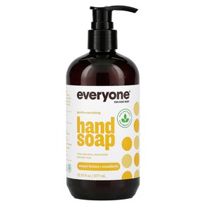 에브리원 핸드 솝 비누 마이어 레몬 만다린 377ml Hand Soap Meye Lemon Mandain