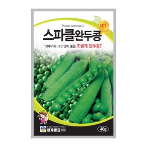 스파클 완두콩 씨앗 40g 세계종묘 콩씨앗 채소씨앗 야채씨앗, 1개