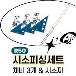 민물낚시세트 붕어 채비 내림 올림 찌 시소채비 R50 시소찌, 1세트, 시소채비 3개(R50) + 시소찌 1개