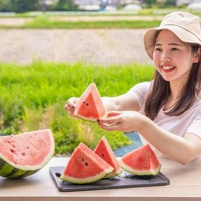 고당도 꿀 수박 못난이 12브릭스이상, 1개, 못난이 수박 국내산 3kg 내외