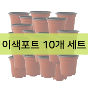 <국내생산> 이색포트 10개 세트 모종화분 7cm 8cm 9cm 10cm 11cm 12cm 13cm