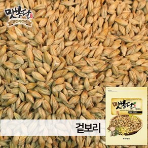 맛봉달 24년 겉보리 통보리 국내산