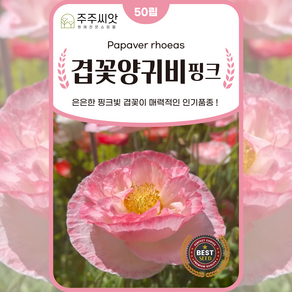 겹꽃양귀비 핑크 씨앗 50립 꽃씨, 1개