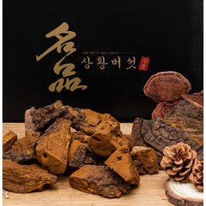 [절편상태발송]상황버섯/50년산 500g/자연산 정품 산뽕나무상황버섯/국내최상급상황버섯 고급포장, 1개, 500g