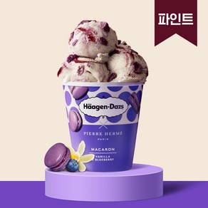 하겐다즈 마카롱 바닐라&블루베리 (파인트) 403ml, 1개