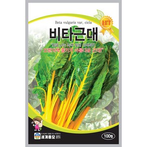 비타근대 100립 채소 씨앗 세계, 10개
