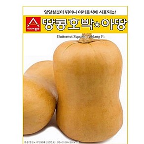 아시아종묘 씨앗 호박 땅콩호박아땅 10립, 1개