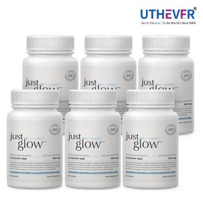 저스트글로우 UTHEVER NMN 500mg, 6개, 60정