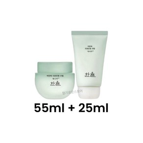 한율 어린쑥 수분진정 크림 대용량 기획세트, 1개, 80ml