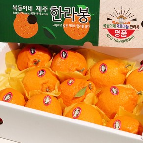 [산지에서바로] 고당도 제주 한라봉 프리미엄 선물세트, 1개, 한라봉 3kg 중과 (11-14과)