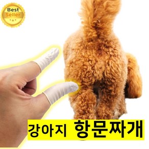 아임홈인 강아지 항문짜개 고양이 항문낭 제거 제거기, 50개, 흰색