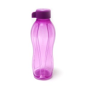 타파웨어 물통 물병 500ml, 퍼플