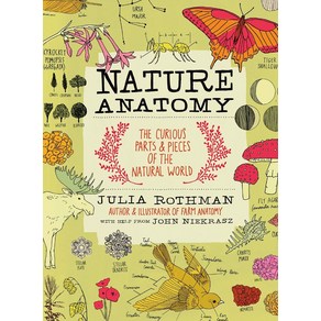 Natue Anatomy:The Cuious Pats and Pieces of the Natual Wold, Stoey Publishing