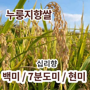 [누룽지향쌀] 십리향 햅쌀 향미 백미/현미/7분도미(쌀눈쌀) 누룽지쌀 산지직송 흙사랑농장 모이랑, 십리향 백미1kg