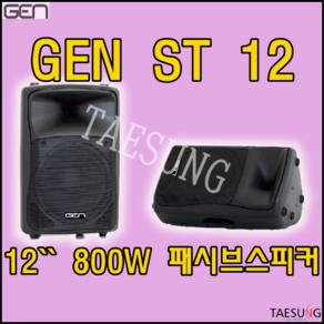 ST12/800W 패시브스피커/12인치스피커/1통 가격/GNS/GEN ST12/ST-12/지앤에스/2Way/패시브스피커/모니터스피커/스피닝스피커/락볼링스피커/롤러장스피커