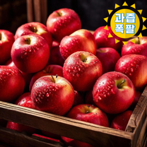 아삭아삭 고당도 새콤달콤 부사 경북 가정용 소과, 1개, [가정용] 부사 사과 3kg 소과