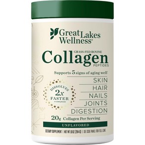 Geat Lakes Wellness 콜라겐 파우더 20g 단백질 보충제 그레이트 레이크 젤라틴, 284g, 1개