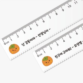 감사 투명자 15Cm자 네임 자 문구 인쇄 애플데이 감사데이 감 학교 교육주간 위클래스 행사 선물 주문제작