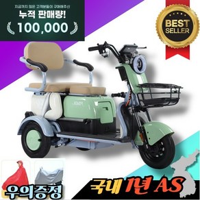 럭스코지 [안락한 여행] 세발 전기자전거 삼륜 전기오토바이 전동스쿠터 전기스쿠터 전동자전거, 1개, 40km주행 솔더전지