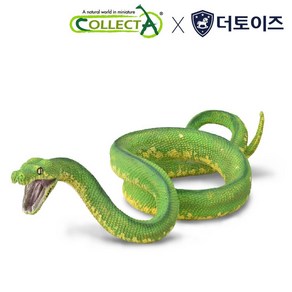 컬렉타 초록나무 비단뱀 88962