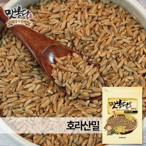 맛봉달 23년 카무트쌀 호라산밀 고대이집트밀 슈퍼곡물 통밀 터키산, 500g, 1개