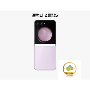 삼성전자 갤럭시 Z 플립5 새상품 미개봉 SM-F731N 5G 256GB, 라벤더