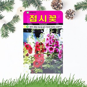 흙닷컴 접시꽃씨앗 100립 접시꽃 꽃씨앗 조경용 고급 꽃씨, 1개