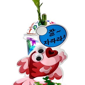 달빛M 개운죽 화분 원예키트, 1개